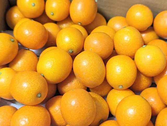 さまざまな分野での実績